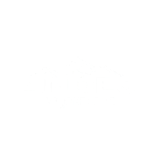 Andes Workforce